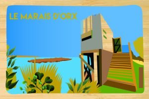 Landes - Les Marais d'Orx