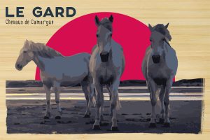 Gard - Les chevaux de Camargue