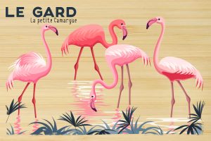 Gard - La petite Camargue
