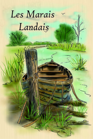 Landes - Les Marais Landais