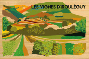 Pyrénées Atlantiques - Les Vignes d'Irouléguy