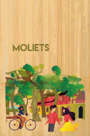 Landes - Moliets