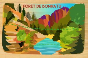 Corse - Forêt de Bonifatu